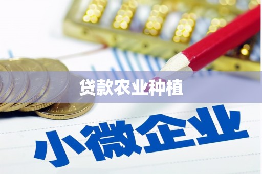 盐津贷款农业种植