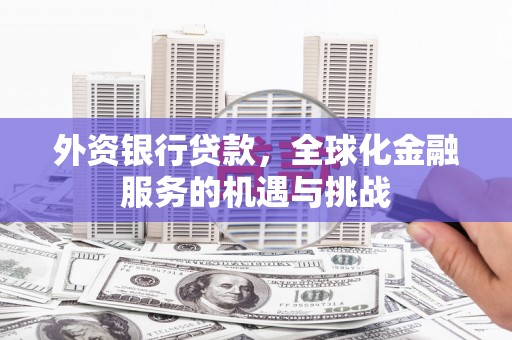 盐津外资银行贷款，全球化金融服务的机遇与挑战