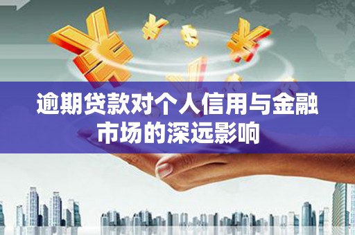 盐津逾期贷款对个人信用与金融市场的深远影响
