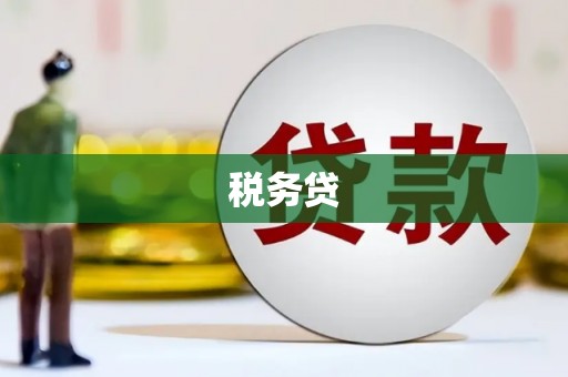 盐津税务贷