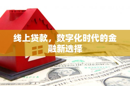 盐津线上贷款，数字化时代的金融新选择