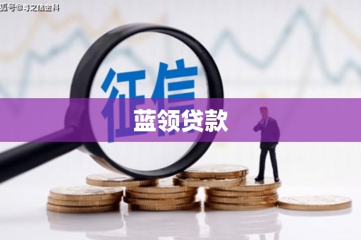 盐津蓝领贷款