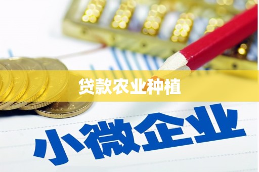 盐津贷款农业种植