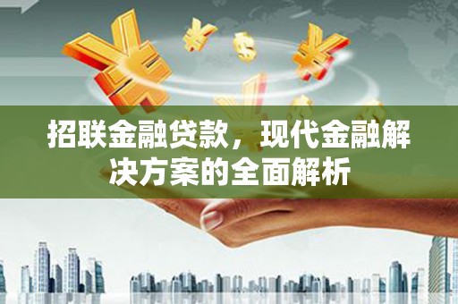 盐津招联金融贷款，现代金融解决方案的全面解析