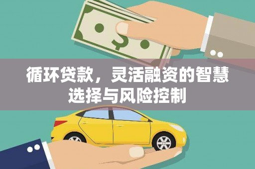 盐津循环贷款，灵活融资的智慧选择与风险控制
