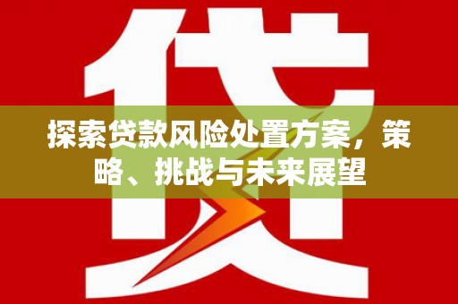 盐津探索贷款风险处置方案，策略、挑战与未来展望