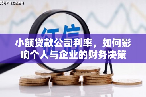 盐津小额贷款公司利率，如何影响个人与企业的财务决策