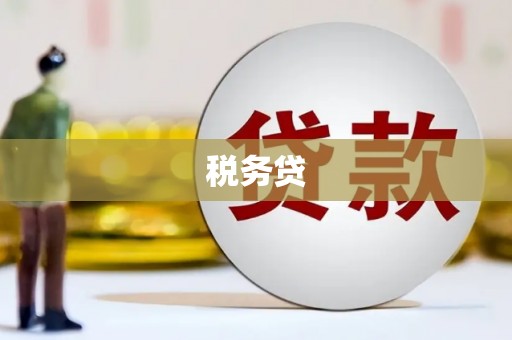 盐津税务贷