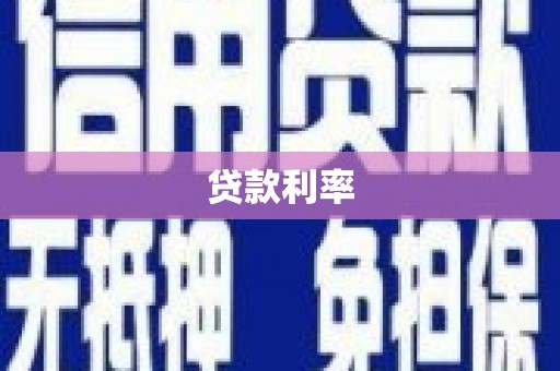盐津贷款利率