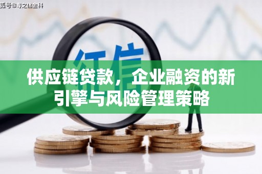 盐津供应链贷款，企业融资的新引擎与风险管理策略