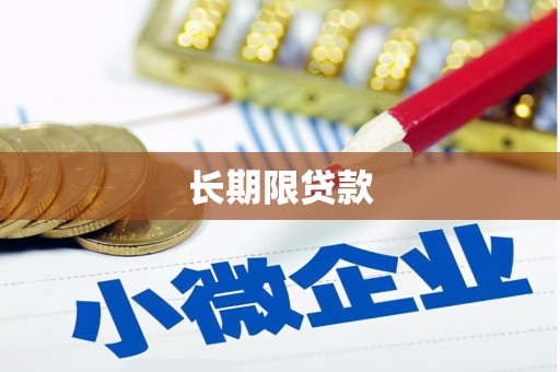盐津长期限贷款