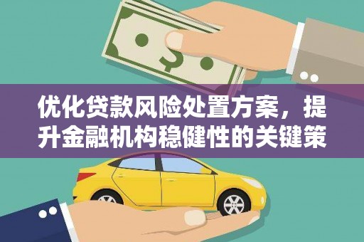 盐津优化贷款风险处置方案，提升金融机构稳健性的关键策略