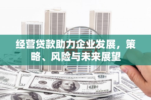 盐津经营贷款助力企业发展，策略、风险与未来展望