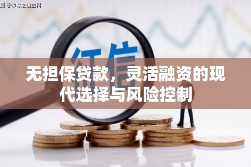 盐津无担保贷款，灵活融资的现代选择与风险控制