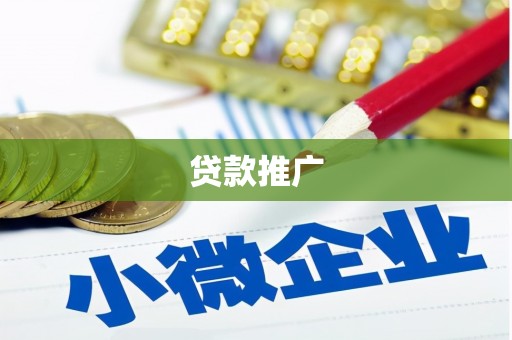 盐津贷款推广