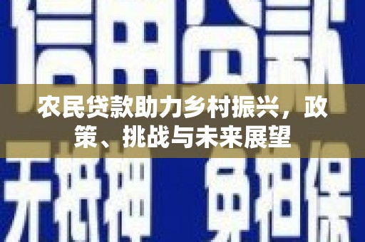 盐津农民贷款助力乡村振兴，政策、挑战与未来展望