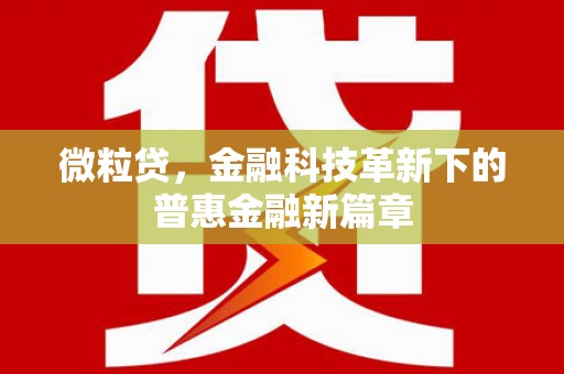 盐津微粒贷，金融科技革新下的普惠金融新篇章