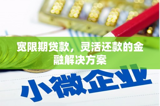 盐津宽限期贷款，灵活还款的金融解决方案