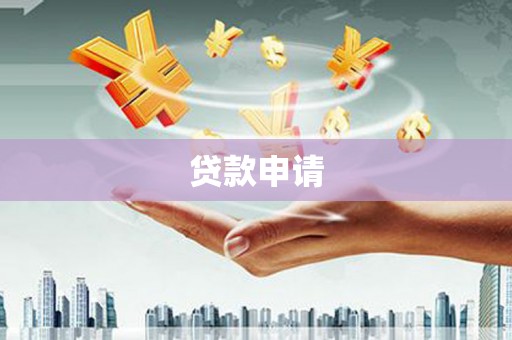 盐津贷款申请