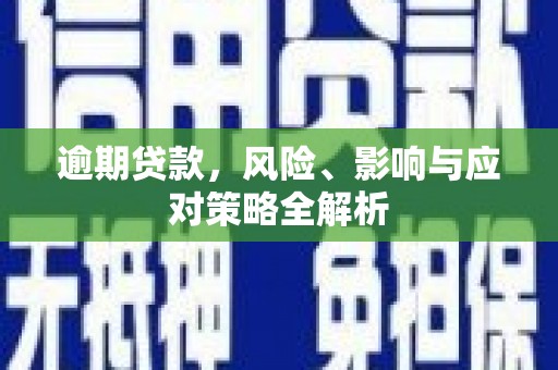 盐津逾期贷款，风险、影响与应对策略全解析