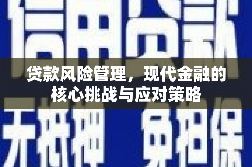 盐津贷款风险管理，现代金融的核心挑战与应对策略