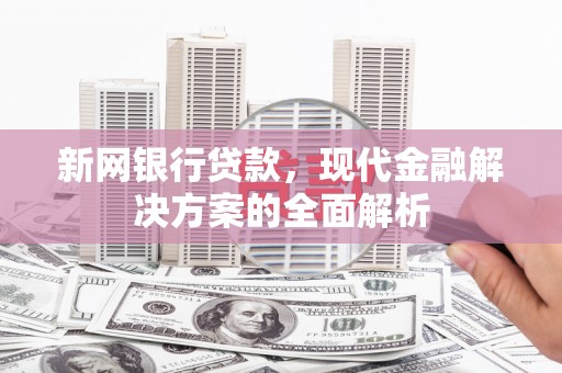 盐津新网银行贷款，现代金融解决方案的全面解析