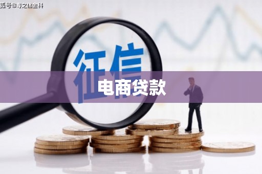 盐津电商贷款