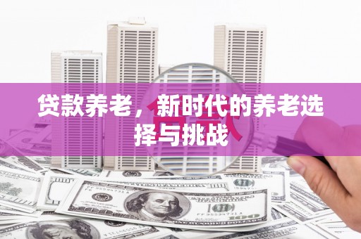 盐津贷款养老，新时代的养老选择与挑战