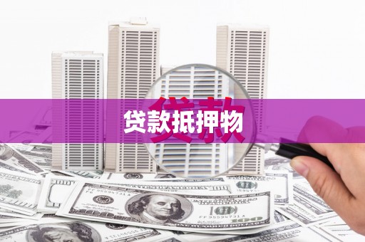 盐津贷款抵押物