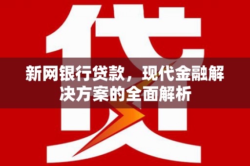 盐津新网银行贷款，现代金融解决方案的全面解析