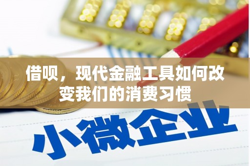 盐津借呗，现代金融工具如何改变我们的消费习惯