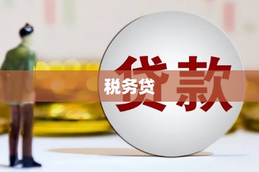 盐津税务贷