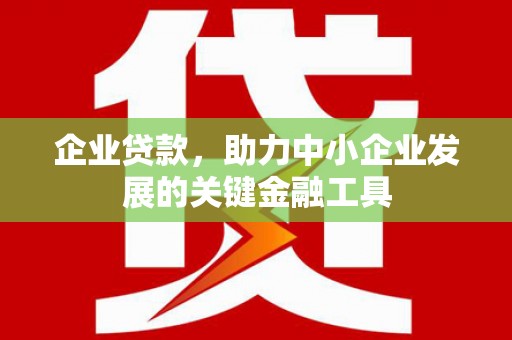 盐津企业贷款，助力中小企业发展的关键金融工具