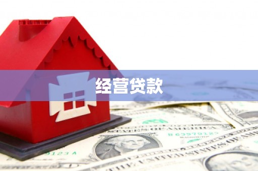 盐津经营贷款