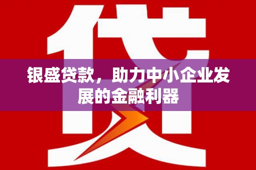 盐津银盛贷款，助力中小企业发展的金融利器