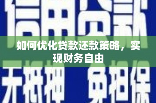 盐津如何优化贷款还款策略，实现财务自由