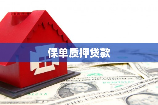 盐津保单质押贷款