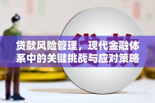 盐津贷款风险管理，现代金融体系中的关键挑战与应对策略