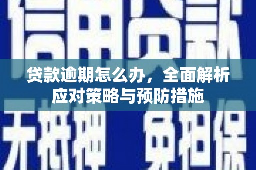 盐津贷款逾期怎么办，全面解析应对策略与预防措施
