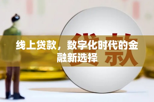 盐津线上贷款，数字化时代的金融新选择