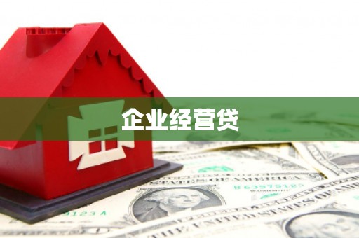 盐津企业经营贷