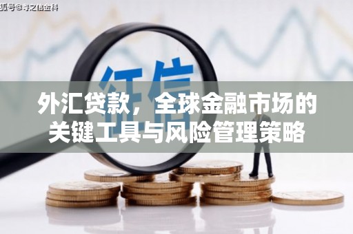 盐津外汇贷款，全球金融市场的关键工具与风险管理策略