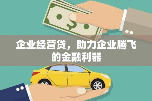 盐津企业经营贷，助力企业腾飞的金融利器