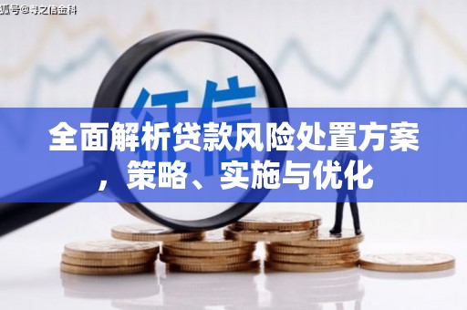 盐津全面解析贷款风险处置方案，策略、实施与优化