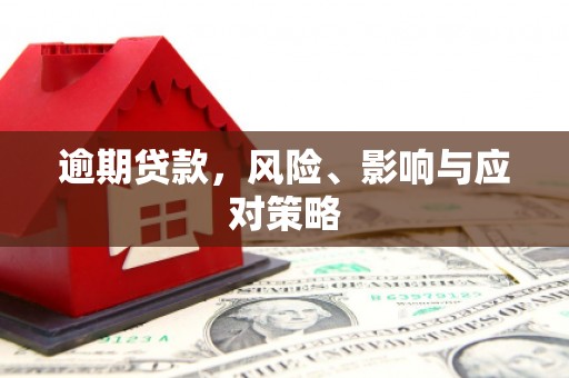 盐津逾期贷款，风险、影响与应对策略