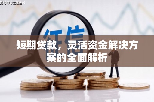 盐津短期贷款，灵活资金解决方案的全面解析