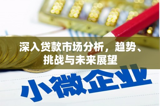 盐津深入贷款市场分析，趋势、挑战与未来展望