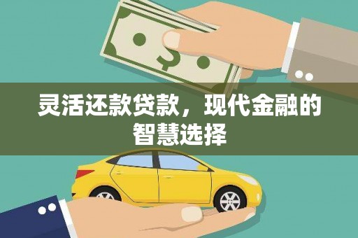 盐津灵活还款贷款，现代金融的智慧选择