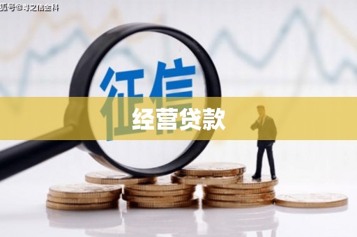 盐津经营贷款