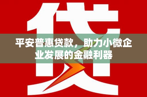 盐津平安普惠贷款，助力小微企业发展的金融利器